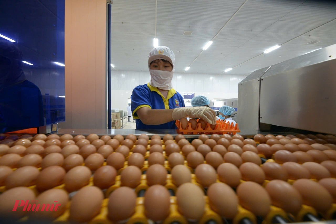 Nhiều doanh nghiệp còn gặp khó khăn về các thủ tục hành chính, thuế, đất đai - Ảnh: Thanh Hoa