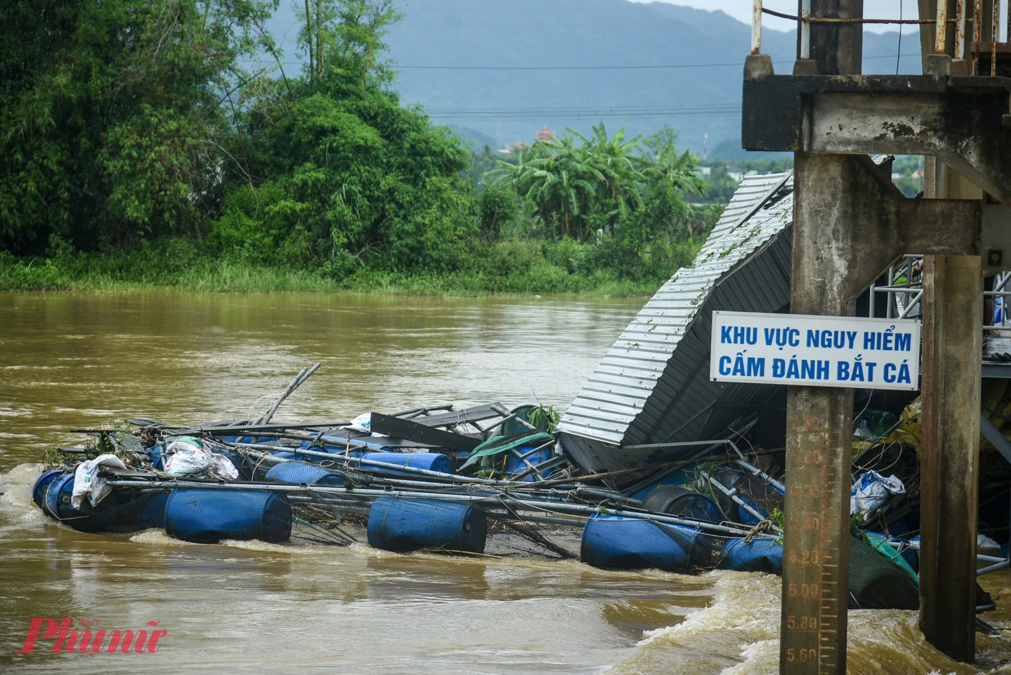 Trước đó, chiều 12/6, mưa lớn kéo dài do ảnh hưởng của bão số 1 (tên quốc tế Wutip) khiến nước lũ trên sông Yên dâng cao đột ngột, cuốn trôi hàng chục lồng bè nuôi cá của anh Đặng Ngọc Phi Long (trú xã Đại Hiệp, huyện Đại Lộc, tỉnh Quảng Nam).