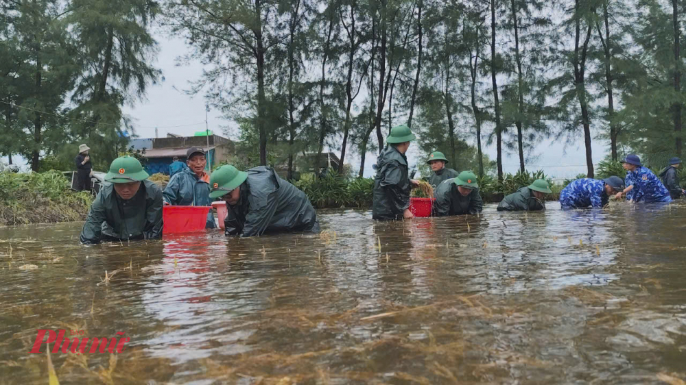 Tranh thủ nước dến đâu, các chiến sĩ quyết tâm gặt lúa giúp bà con đến đó
