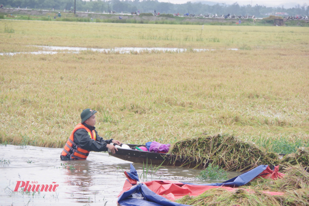 hoạch 90 ha lúa nói trên đã được hoàn tất. Các lực lượng hỗ trợ đưa lúa về và tổ chức hong sấy nhằm đảm bảo chất lượng lúa.