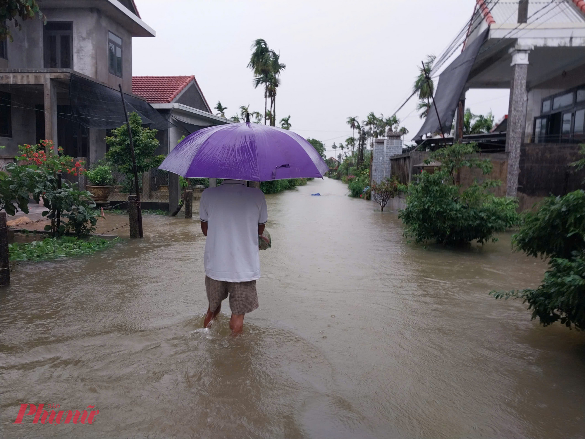 Trong ngày 14/6 nước lũ ở các xã vùng hạ du sông Ô Lâu đoạn chảy qua xã Phong Bình đã rút dần