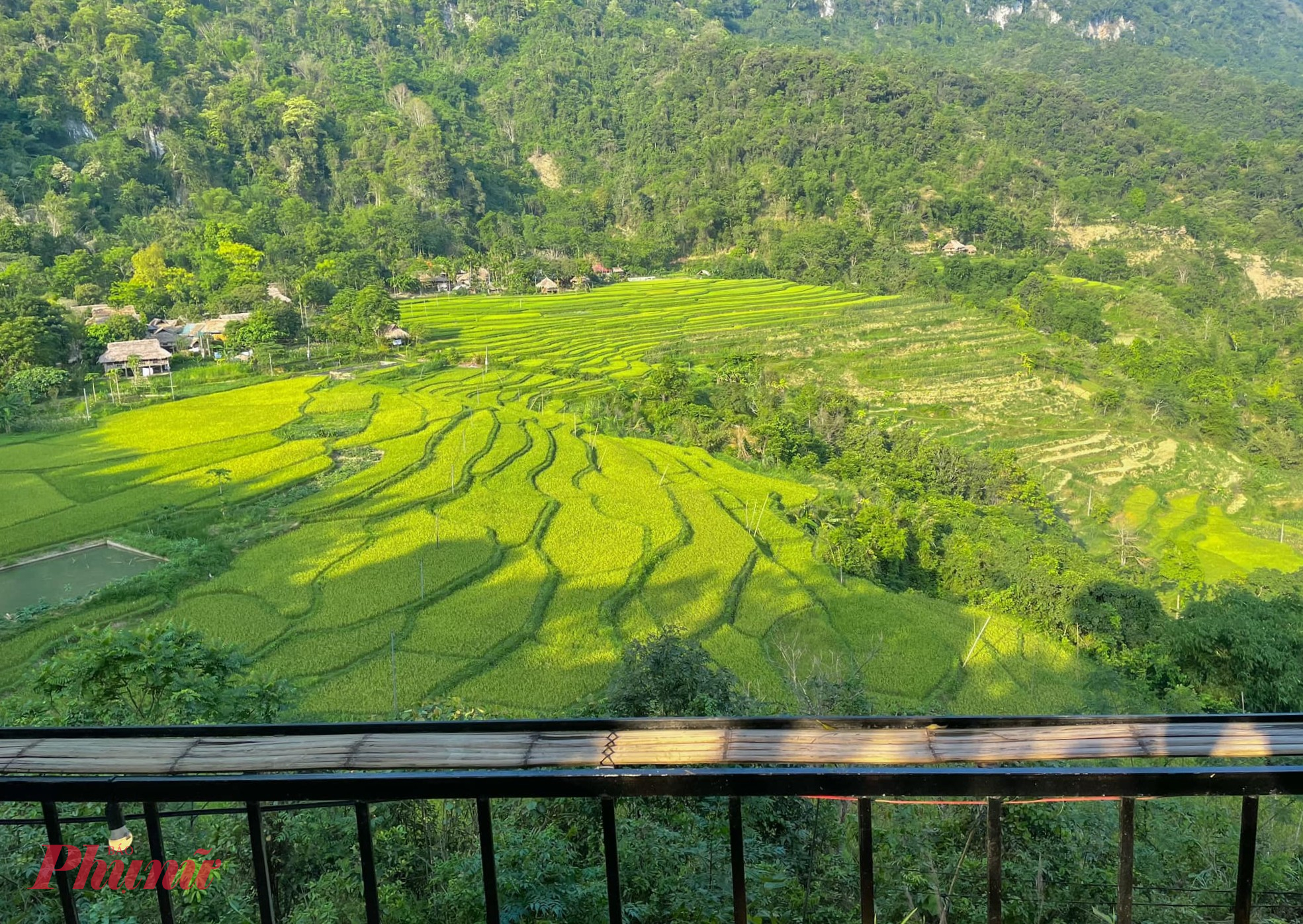 Đến Pù Luông, nghe nhịp thở lành của đất trời Ruộng bậc thang - nhìn từ nếp nhà sàn của người Thái