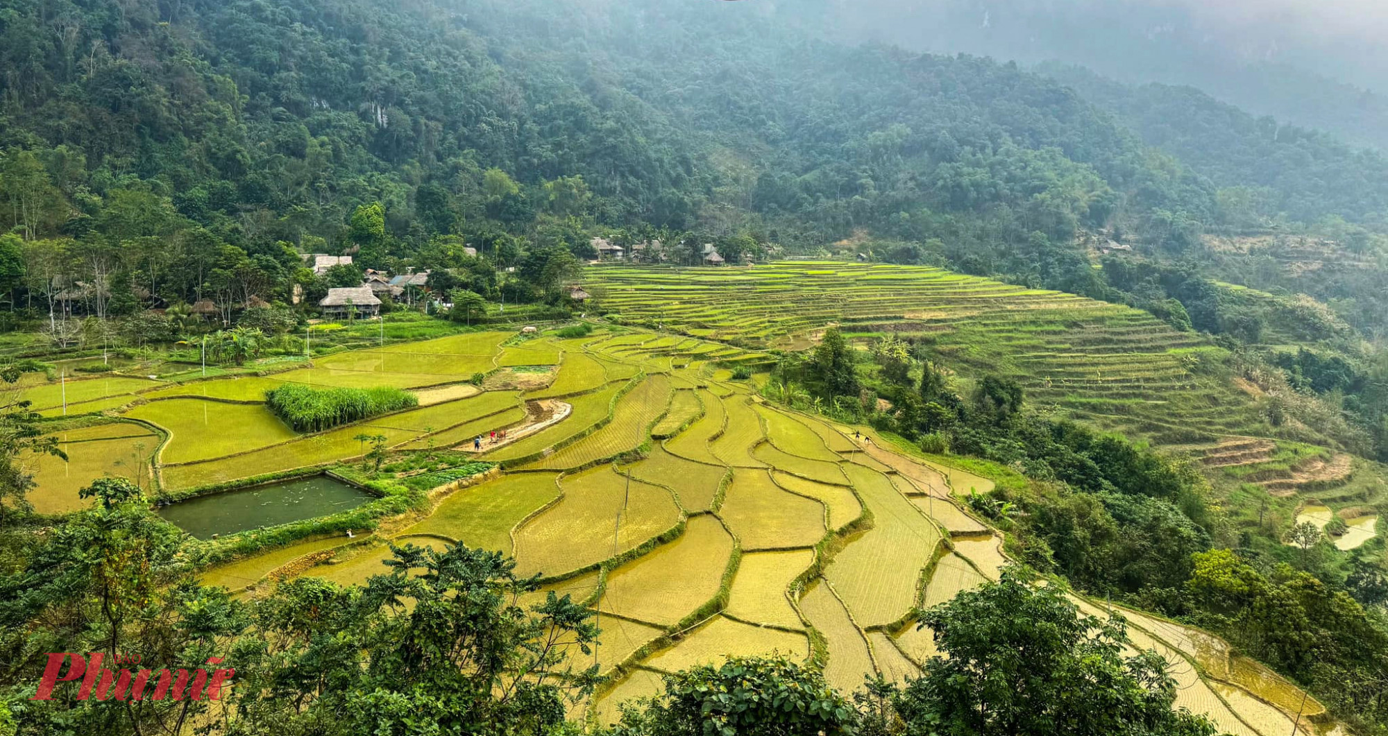 Đến Pù Luông, nghe nhịp thở lành của đất trời Pù Luông vào vụ cấy