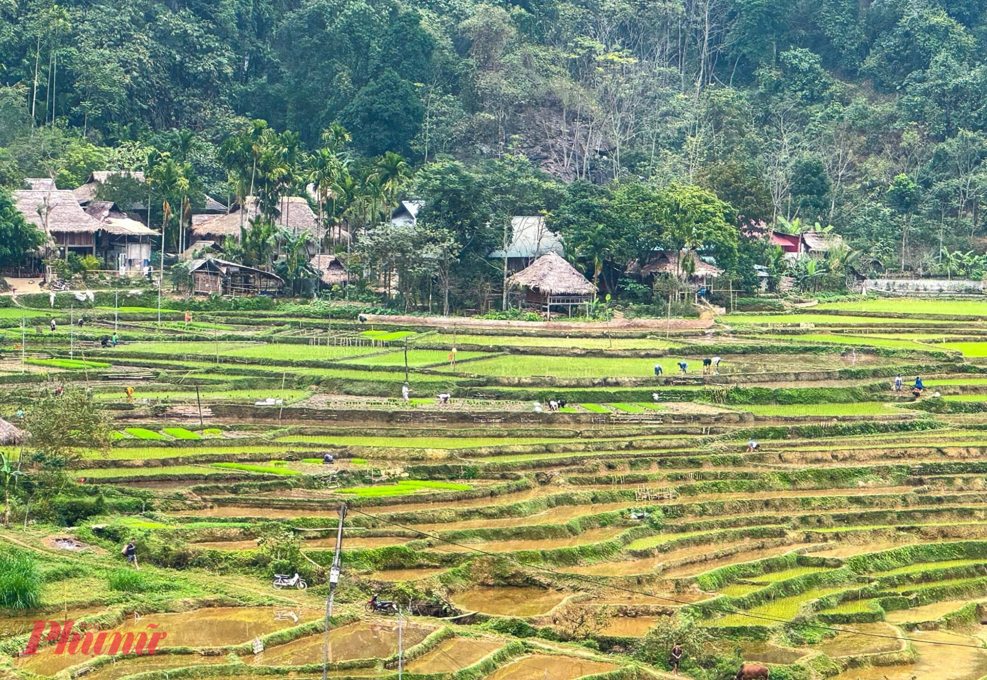Đến Pù Luông, nghe nhịp thở lành của đất trời Cảnh sắc thanh bình của bản làng ở Pù Luông