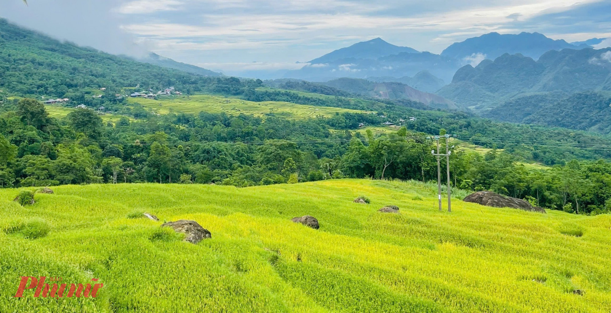 Đến Pù Luông, nghe nhịp thở lành của đất trời Mùa lúa bắt đầu chín