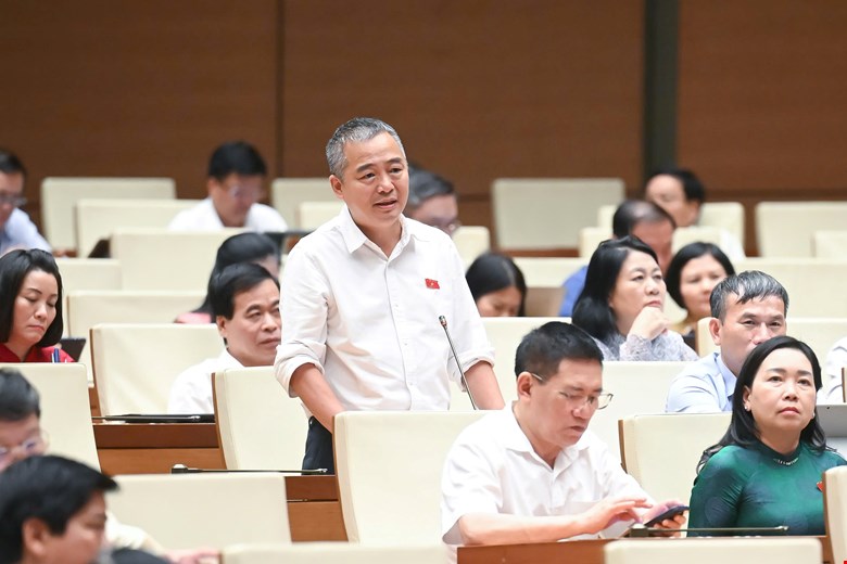 Đại biểu Quốc hội Nguyễn Lân Hiếu (đoàn Bình Định) - ảnh: QH