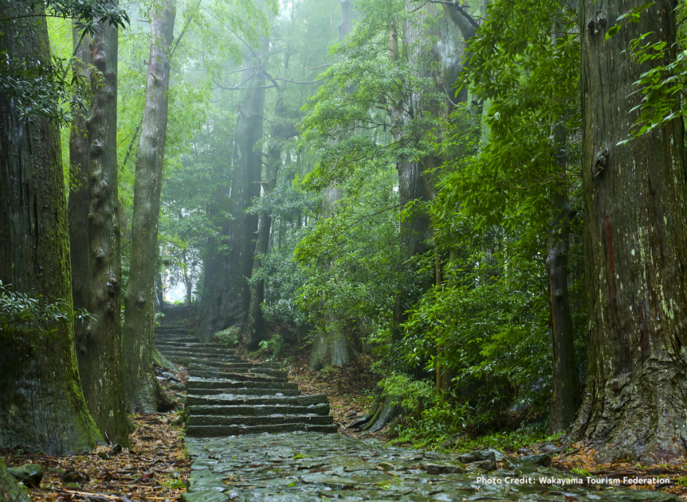 Tuyến đường cổ này kết nối ba ngôi đền linh thiêng Kumano Sanzan – gồm đền Kumano Hongu Taisha, Kumano Nachi Taisha và Kumano Hayatama Taisha – tọa lạc tại phía nam tỉnh Wakayama và tỉnh Mie. Năm 2004, Kumano Kodo được UNESCO công nhận là Di sản Thế giới với tên gọi “Thánh địa và Đường hành hương vùng núi Kii”.