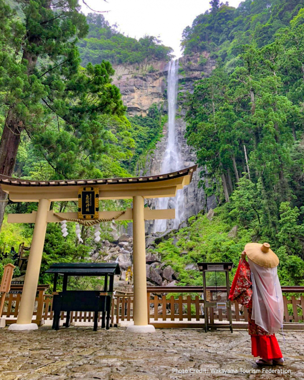 Hành trình Kumano Kodo hoàn toàn miễn phí.  Dù là tuyến phù hợp với người mới bắt đầu, vẫn cần chuẩn bị trang phục và giày leo núi, áo mưa đề phòng thời tiết thay đổi.  Di chuyển: Từ ga JR Osaka, đi tàu đến ga JR Kii-Katsuura, sau đó bắt xe buýt tuyến Nachisan, xuống tại trạm Daimon-zaka rồi đi bộ khoảng 500m đến điểm bắt đầu hành trình.