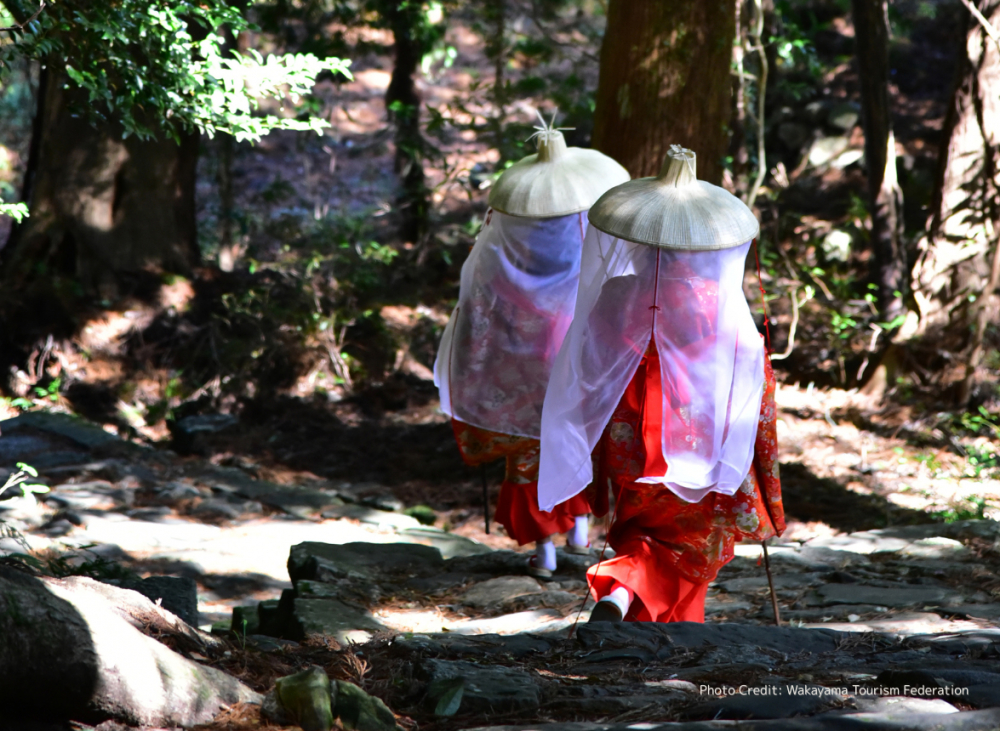 Ngày nay, Kumano Kodo vẫn đón hàng vạn lượt du khách mỗi năm, không chỉ để tìm kiếm sự tĩnh tại tâm linh mà còn để đắm mình trong thiên nhiên nguyên sơ của Nhật Bản. Một trong những hành trình lý tưởng cho người mới bắt đầu là tuyến đường từ Daimon-zaka – đoạn đường lát đá dài khoảng 2,7km khứ hồi, mất khoảng ba giờ đi bộ. Tại đây, du khách có thể ghé Daimon-zaka Chaya để thuê trang phục truyền thống thời Heian, sống lại ký ức của những người hành hương xưa cách đây hơn 1.200 năm.
