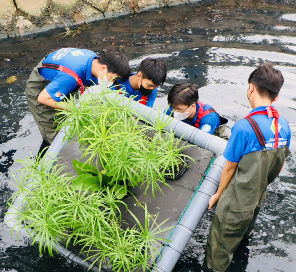 Mô hình bè thủy sinh của Đoàn Thanh niên phường Thạnh Lộc giúp cải thiện môi trường nước, góp phần tạo mỹ quan đô thị - - Hình ảnh trong loạt bài Sức trẻ cho thành phố hiện đại, nghĩa tình của Báo Phụ nữ TPHCM