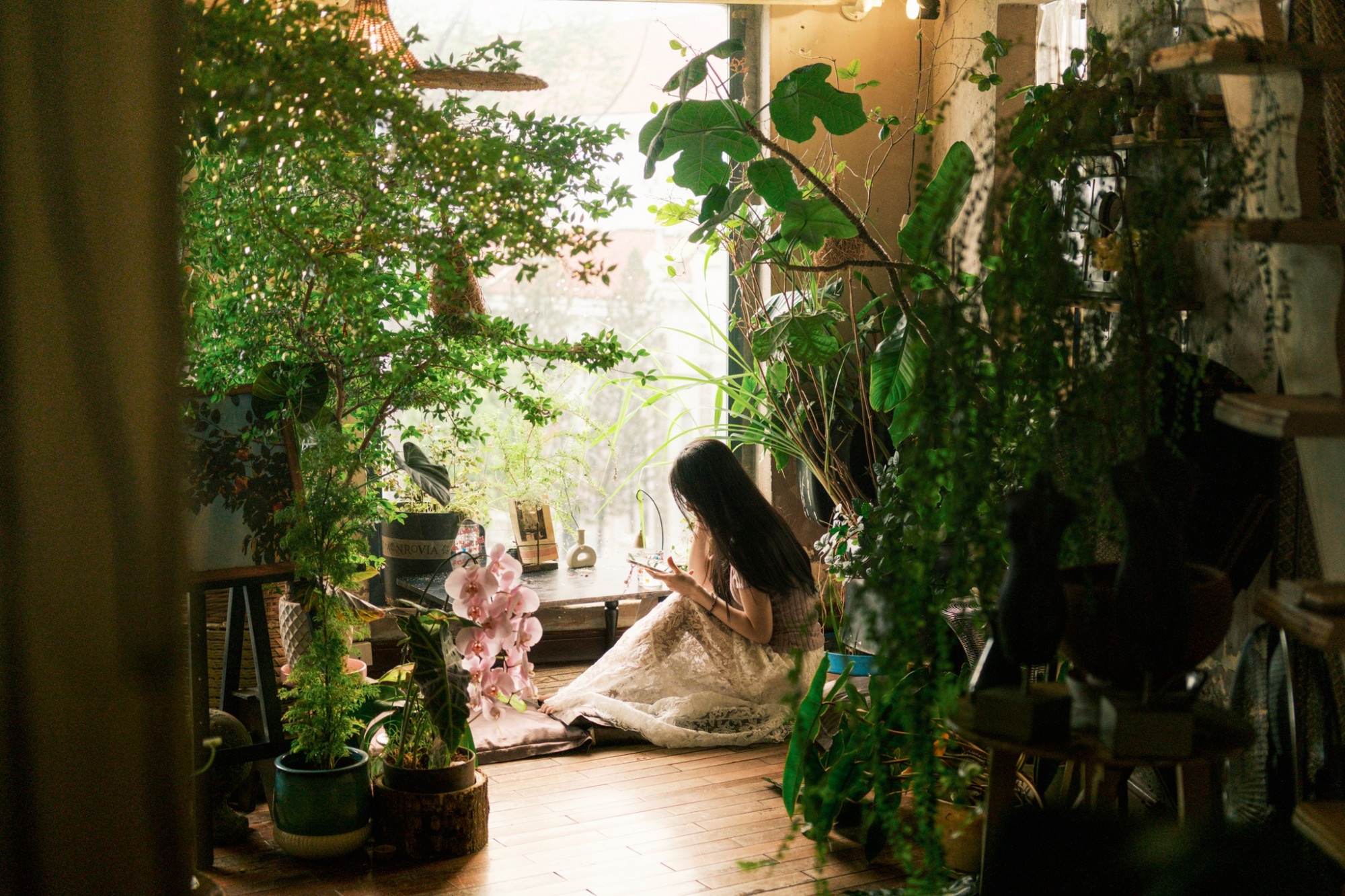 Bước lên cầu thang nhỏ, mùi thơm của lá cây và không gian xanh mướt khiến lòng ta chợt nhẹ, như bước vào một giấc mơ thanh bình.
