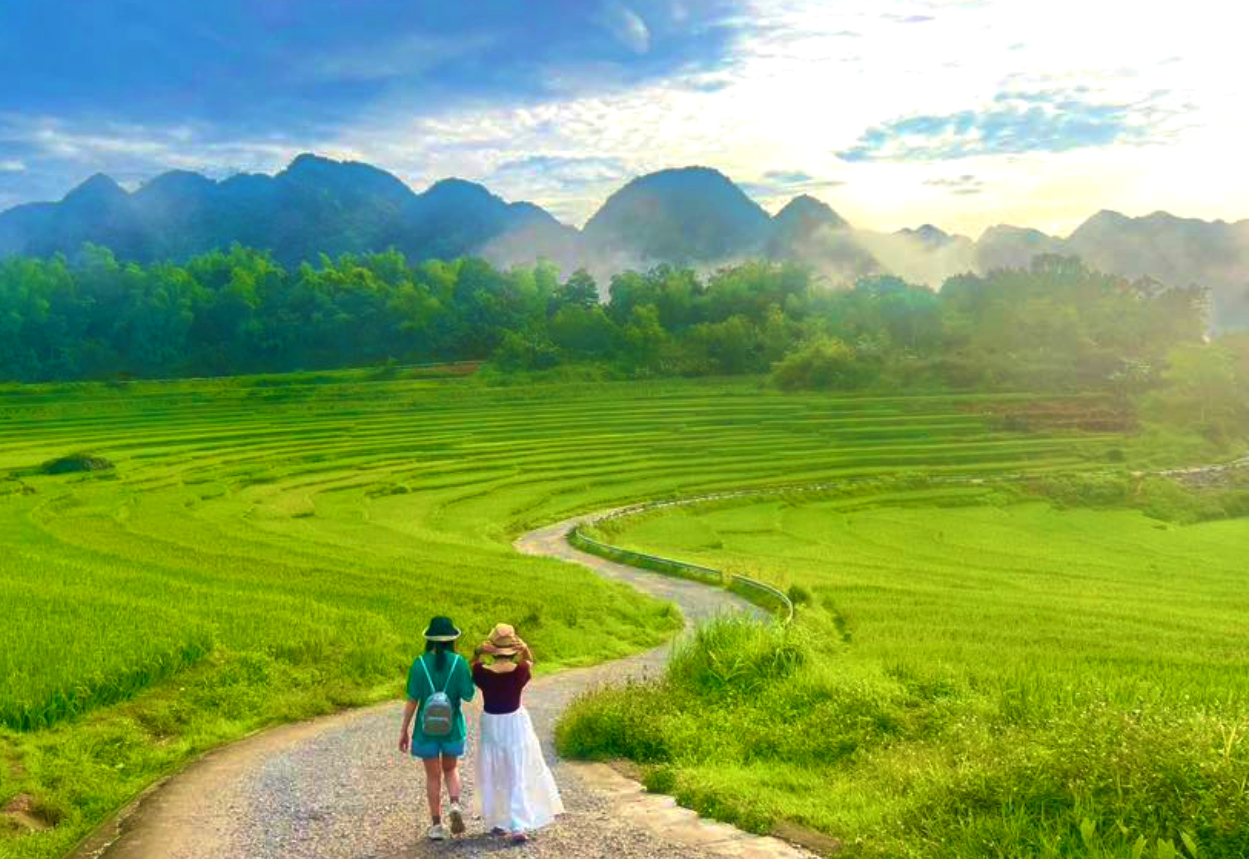 Đến Pù Luông, nghe nhịp thở lành của đất trời Con đường như dải lụa trắng uốn quanh cánh đồng lúa xanh rì. Ảnh: Thái Hà