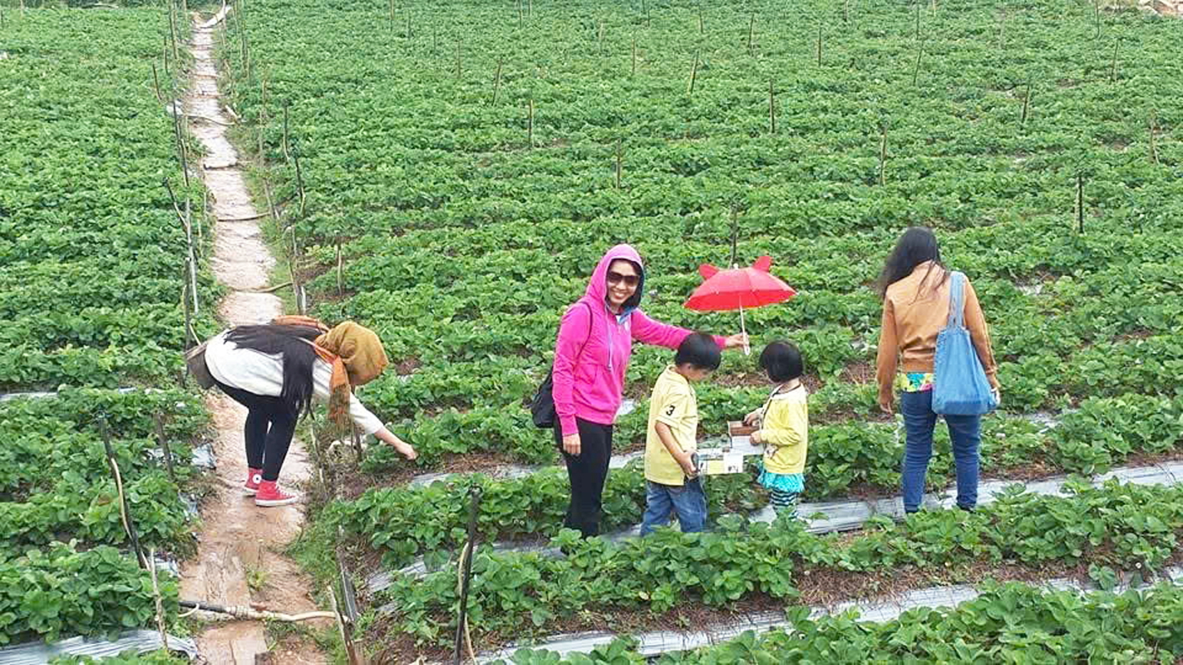 Người lớn cần cho trẻ gần gũi, hòa mình cùng các hoạt động ngoài trời để có “mùa hè xanh” đầy ý nghĩa - ẢNH: TV