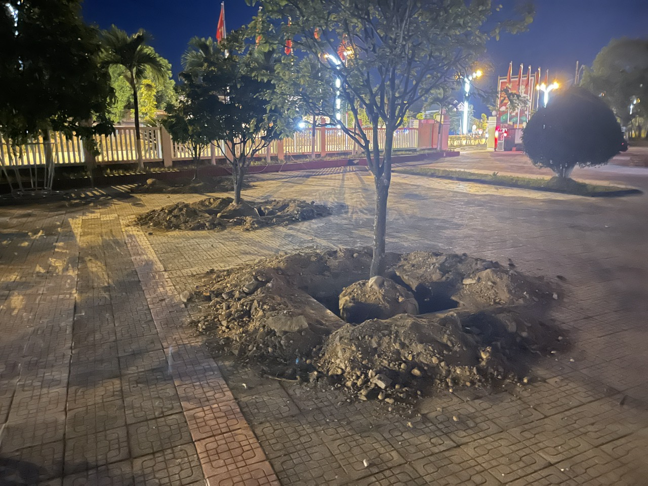 Người dân cho rằng  Sáp nhập phường xã chứ có sáp nhập cây cối đâu mà UBND phường Hương Văn cho đào bới mai