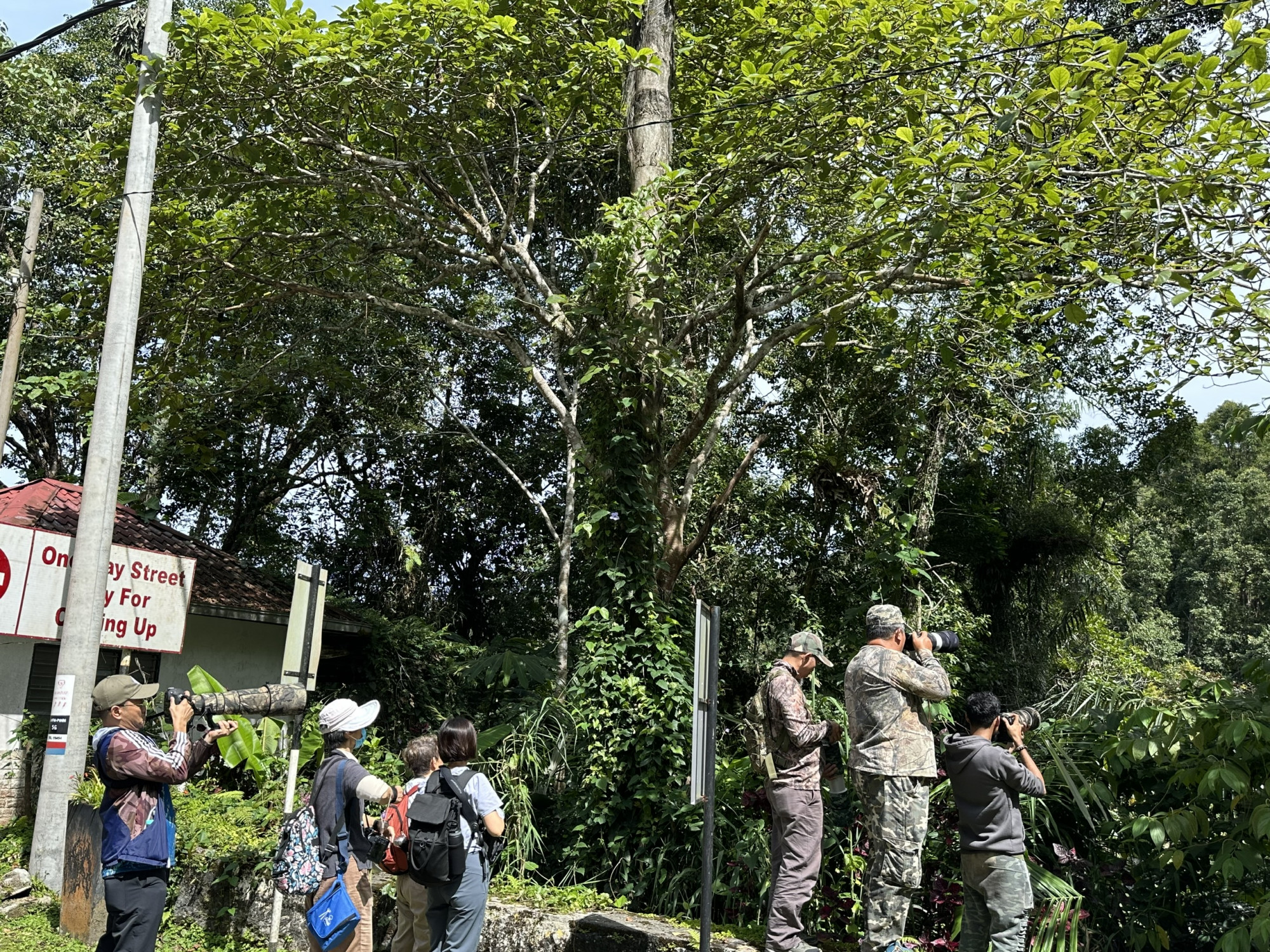Fraser’s Hill - “thiên đường chim” và hành trình đáng nhớ của các nhiếp ảnh gia Việt Nam Các tay máy đến từ nhiều quốc gia trong khu vực đang “săn chim” - Ảnh: N.H