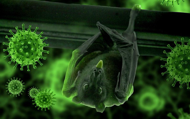 Việc phát hiện ra 20 loại virus chưa được biết đến trước đây có thể là một nguyên nhân đáng lo ngại. ẢNH MINH HỌA: PIXABAY