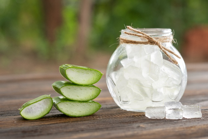 Bạn có thể mang sẵn gel nha đam đóng gói từ nhà hoặc dùng thịt nha đam tươi nếu có. Trộn 1 phần gel nha đam với 3 phần nước lọc, khuấy đều rồi cho vào bình xịt. Nha đam là thành phần quen thuộc trong chăm sóc da sau nắng có khả năng làm mát, giảm căng rát và giữ ẩm tốt cho da mặt cũng như toàn thân.
