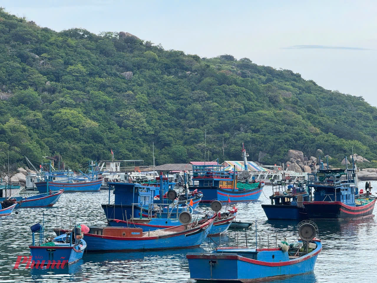Bạn có thể dành cả buổi chiều để khám phá Vĩnh Hy do khu vực này là một vịnh khá nhỏ. Đi dạo quanh bờ biển và đến tham quan Làng chài Vĩnh Hy chắc chắn là điều bạn không thể bỏ qua.