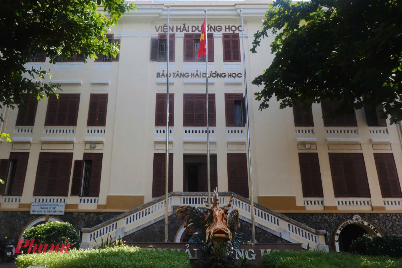 Dù đã từng đến Nha Trang nhiều lần nhưng Viện Hải Dương Học vẫn là một địa điểm không thể bỏ qua. Hiện nay, Viện Hải dương học Nha Trang được tập trung đầu tư phát triển thành một quần thể phục vụ nghiên cứu, tham quan cũng như giáo dục về bảo vệ các loài sinh vật biển lớn nhất nước. 