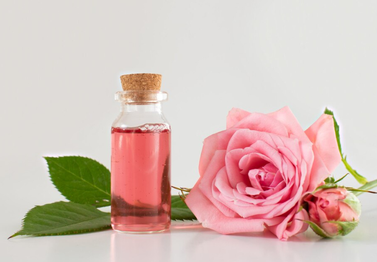 Nước hoa hồng không chứa cồn cũng là một giải pháp dịu nhẹ giúp cân bằng độ ẩm của da sau khi cạo. Bạn có thể thấm nước hoa hồng vào bông tẩy trang rồi vỗ nhẹ lên vùng da vừa làm sạch lông, nên chọn loại dịu nhẹ dành riêng cho da nhạy cảm.