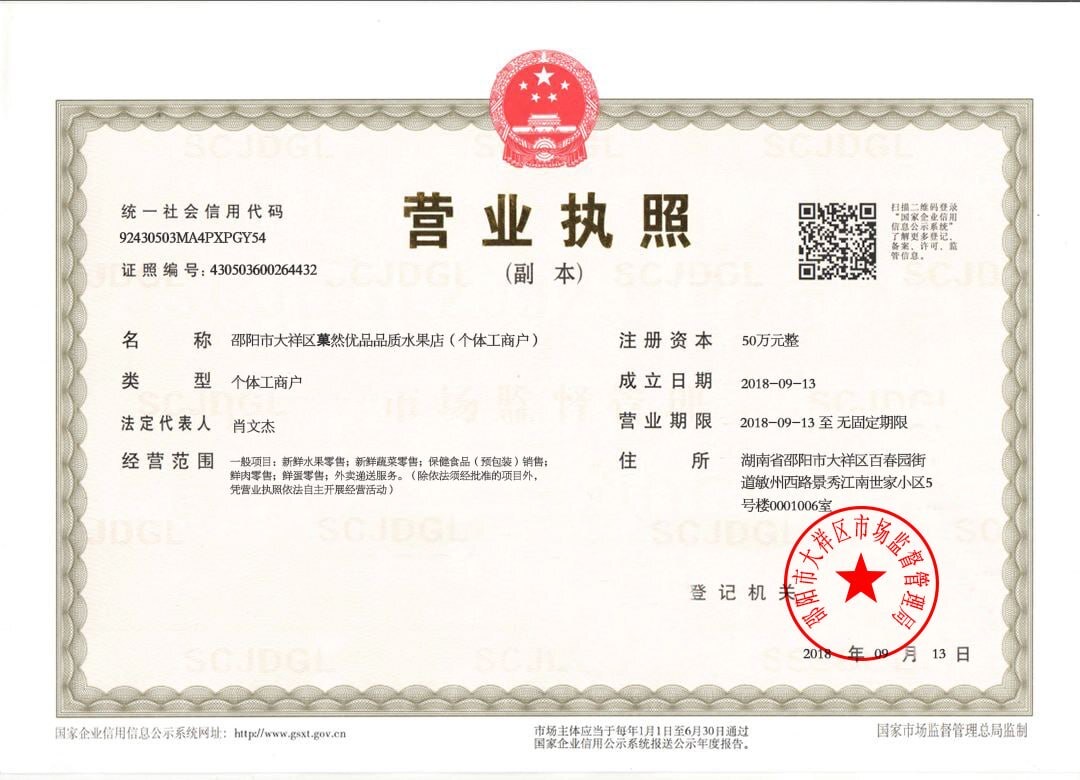 Một tài liệu giả được bọn tội phạm sử dụng để lừa đảo - Ảnh: Thanatchaporn Phasomsup