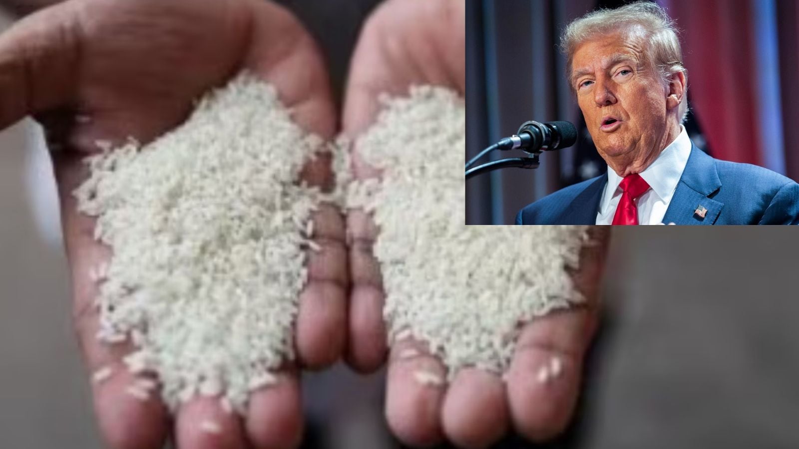 Tổng thống Donald Trump đe dọa áp thuế Nhật Bản vì xuất khẩu gạo - Ảnh: Indian Express