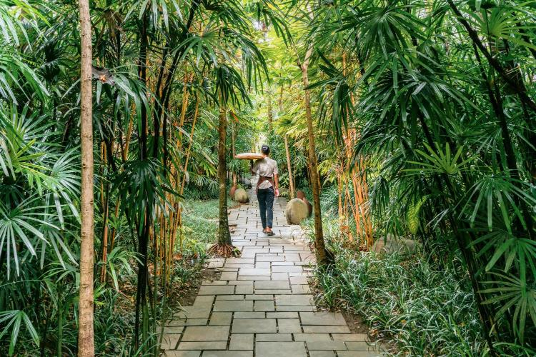 Ubud, Indonesia – Thiên đường nhiệt đới