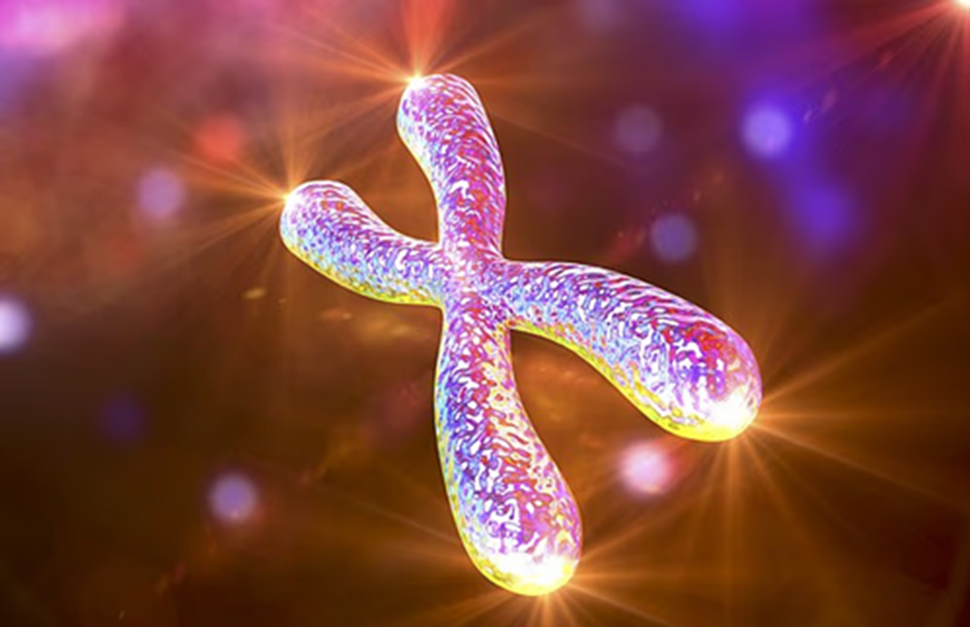 Chỉ trừ tế bào hồng cầu, mọi tế bào trong cơ thể người đều chứa DNA, phân tử mang thông tin di truyền cho sự sống — Ảnh: Shutterstock 