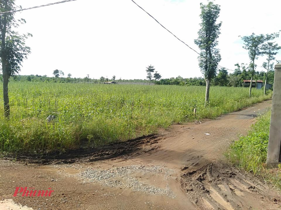 Quốc hội quyết nghị tiếp tục miễn thuế sử dụng đất nông nghiệp đến hết ngày 31/12/2030.Quốc hội nghị quyết tiếp tục kéo dài thời hạn miễn thuế sử dụng đất nông nghiệp - Ảnh minh họa