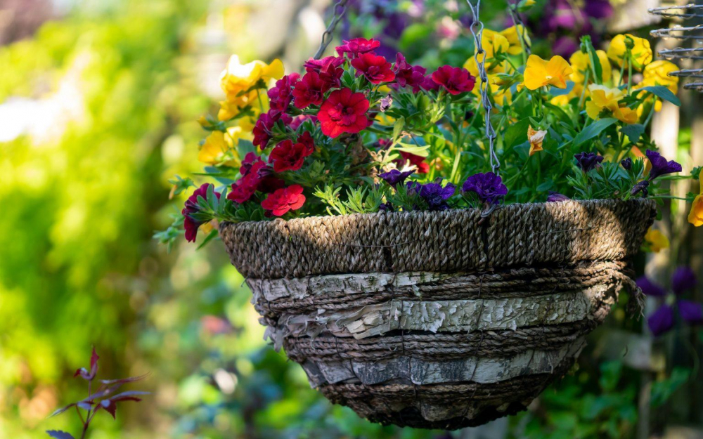 Có thể tô điểm một góc sân vườn bằng cách thêm những giỏ hoa treo - Ảnh: gardeningexpress