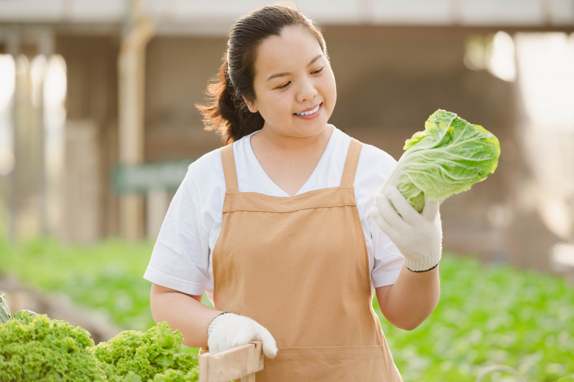 Trồng cây trên sân thượng vừa thư giãn vừa có rau sạch ăn - Ảnh minh họa: Freepik
