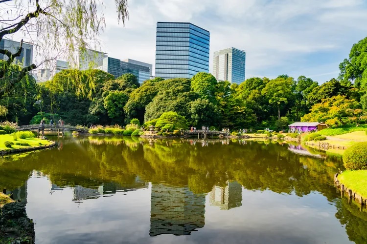 Ngủ trưa ở Shinjuku Gyoen. Đây là công viên lớn và đẹp nhất Tokyo. Bãi cỏ ở Shinjuku Gyoen được chăm sóc rất kỹ nên người dân thích đến ngủ hay đọc sách. Bạn có thể mang theo đồ ăn, đồ uống không cồn và ngủ một giấc trên bãi cỏ mềm. Ảnh trên: Một ao nước tuyệt đẹp ở Shinjuku Gyoen - Ảnh: HADI ZAHER/Getty Images