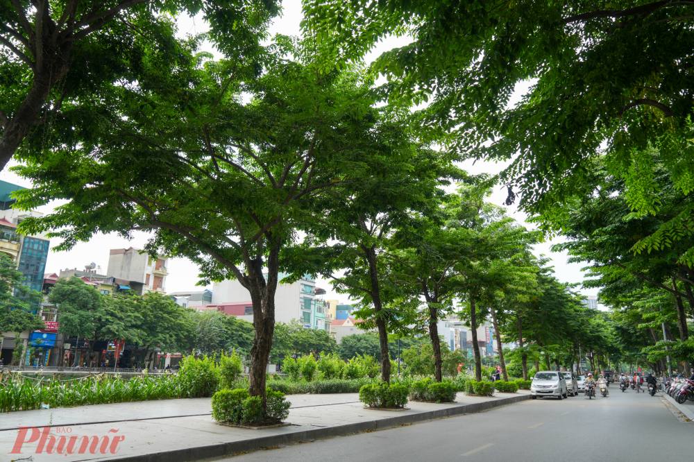 Không chỉ là đường giao thông, đây còn là hành lang bảo vệ sông, kèm hệ thống chiếu sáng, thoát nước mưa, và cây xanh. Việc thiết kế mở sẽ ngăn lấn chiếm, tăng cường tiếp cận công cộng với mặt nước đô thị.