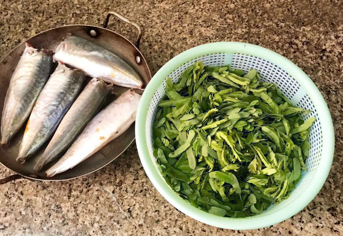 Cá nục và lá me non - nguyên liệu cho nồi canh chua ngon lành của mẹ  - Ảnh do tác giả cung cấp