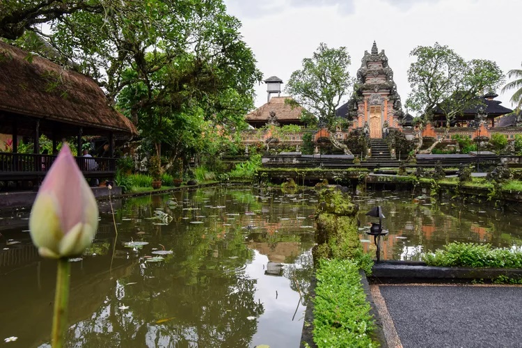 Ubud, Bali, Indonesia. Nơi đây được yêu thích bởi sự tĩnh lặng, gần gũi với thiên nhiên và có nhiều  khu nghỉ dưỡng chú trọng đến sức khỏe. Ubud mang đến sự yên bình trên một hòn đảo vốn đã trở thành biểu tượng của cuộc sống tươi đẹp - Ảnh: Lauren Breedlove/T+L 