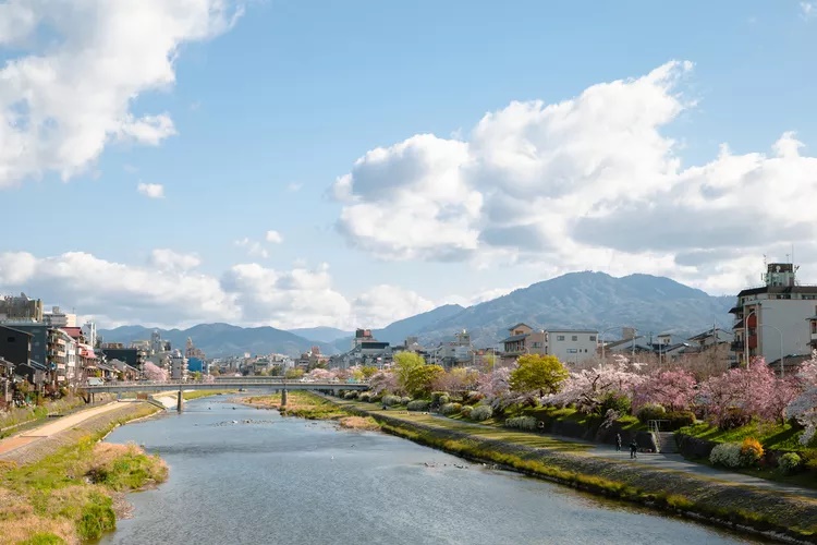 Kyoto, Nhật Bản. Là một thành phố hơn 1.000 năm tuổi, Kyoto gây ấn tượng bằng vẻ đẹp ngoạn mục, ẩm thực thanh tao và nhiều khách sạn cao cấp. Nếu bạn không muốn đến ngắm hoa anh đào vào mùa xuân thì hãy ghé vào mùa hè để hòa vào không khí của rất nhiều lễ hội - Ảnh: Sanga Park/Getty Images
