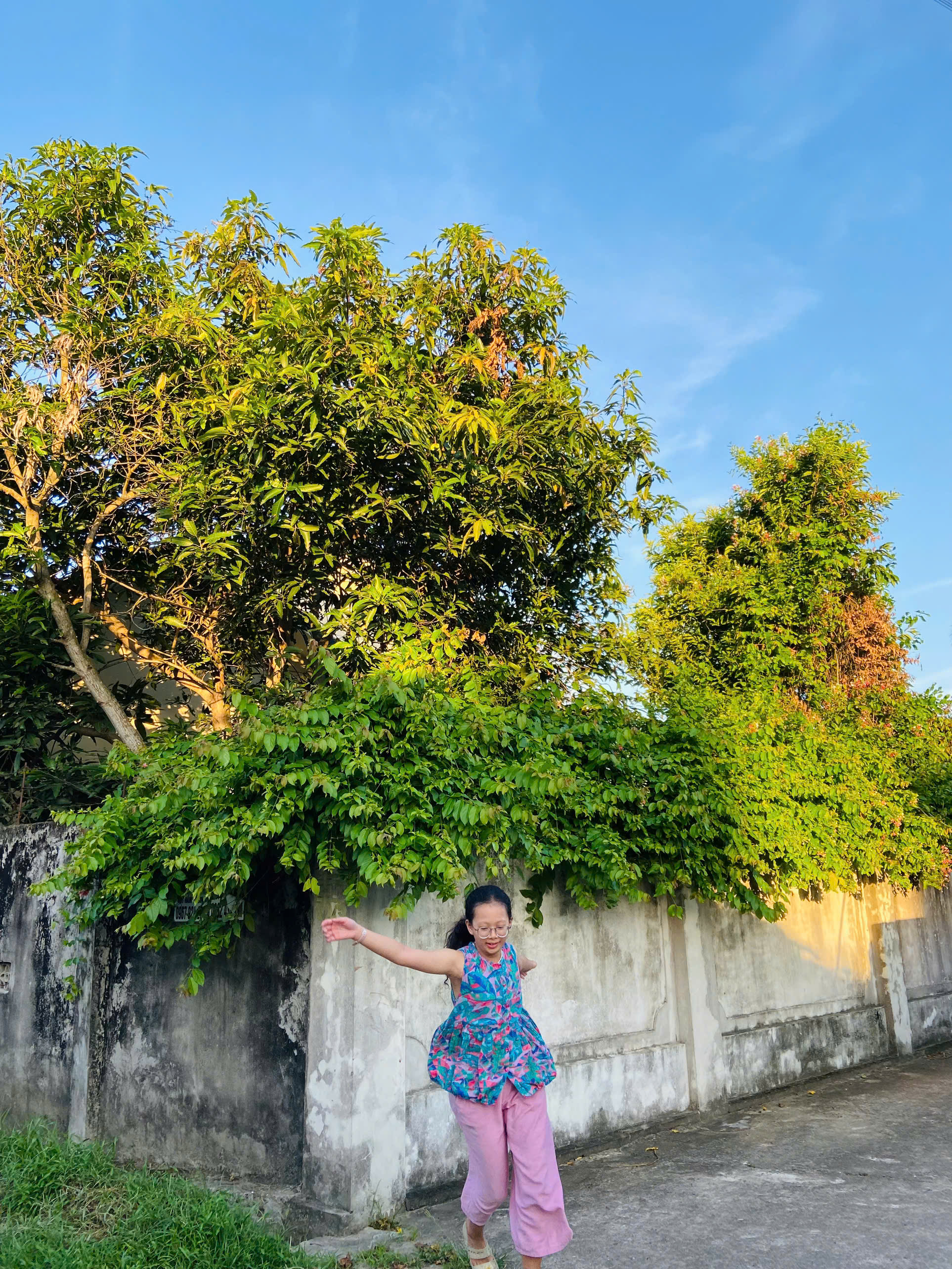 Cây cối nào ở xung quanh cũng cần được con khám phá, gọi tên...