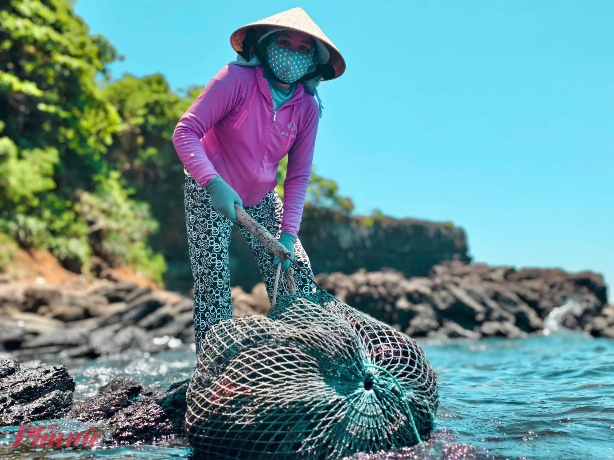 Theo ngư dân, nhum biển có quanh năm nhưng từ tháng 4 đến tháng 8 là thời điểm nhum chắc thịt, dày gạch nhất trong năm.