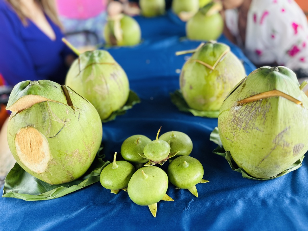 Một thoáng Hàm Luông - ngắm trời xanh qua kẽ lá Dừa được bổ thật khéo hình hoa sen - Ảnh tác giả cung cấp