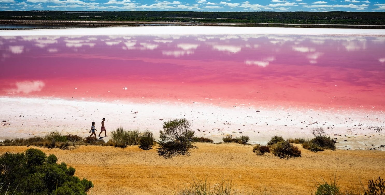 Hồ Hutt Lagoon, Tây Úc