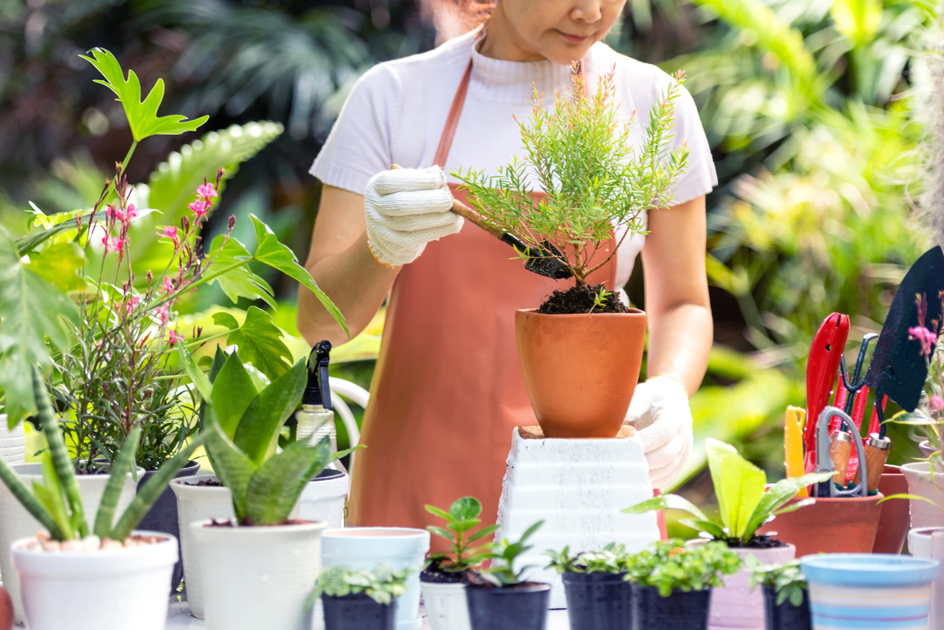 Ảnh mang tính minh họa - Shutterstock