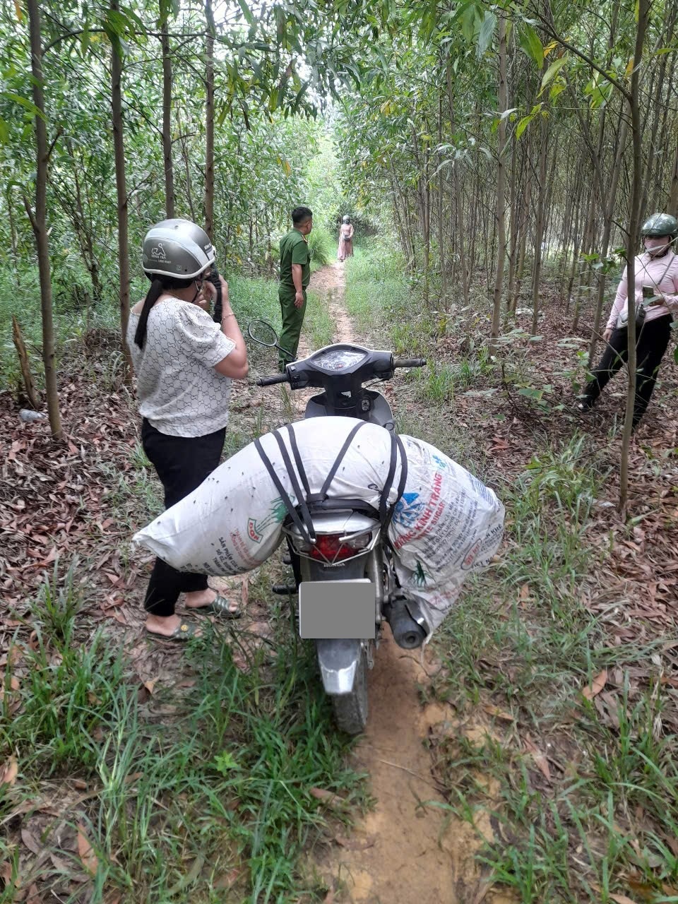 Bà T. mang heo chết vứt trong rẫy keo được người dân phát hiện và báo công an xã Nghĩa Hành (tỉnh Quảng Ngãi) tới xử lý_Ảnh: Công an xã Nghĩa Hành.