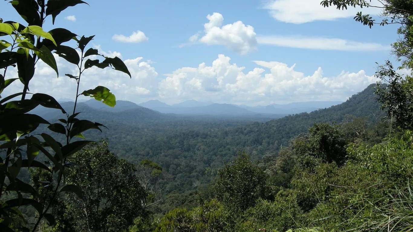 Với diện tích khoảng 4.300 km2 trải dài trên 3 tiểu bang Kelantan, Pahang và Terengganu, rừng đã được bảo vệ từ năm 1938 và là nơi sinh sống của người bản địa Batek. Trong ảnh: Quang cảnh Taman Negara - Ảnh: Vyacheslav Argenberg