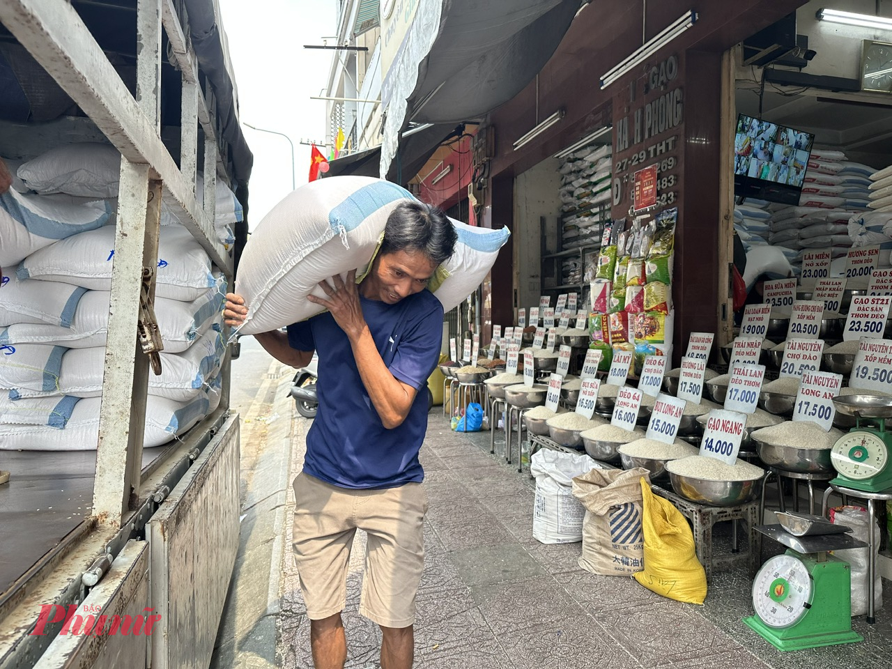 Giá gạo đang xu hướng chững lại ở nội địa - Ảnh: Ngọc Thùy