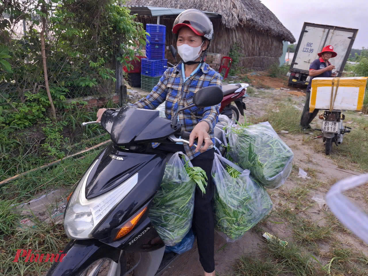 Rau sau thu hoạch, được các dì, chị đóng gói và chở về các điểm phát 