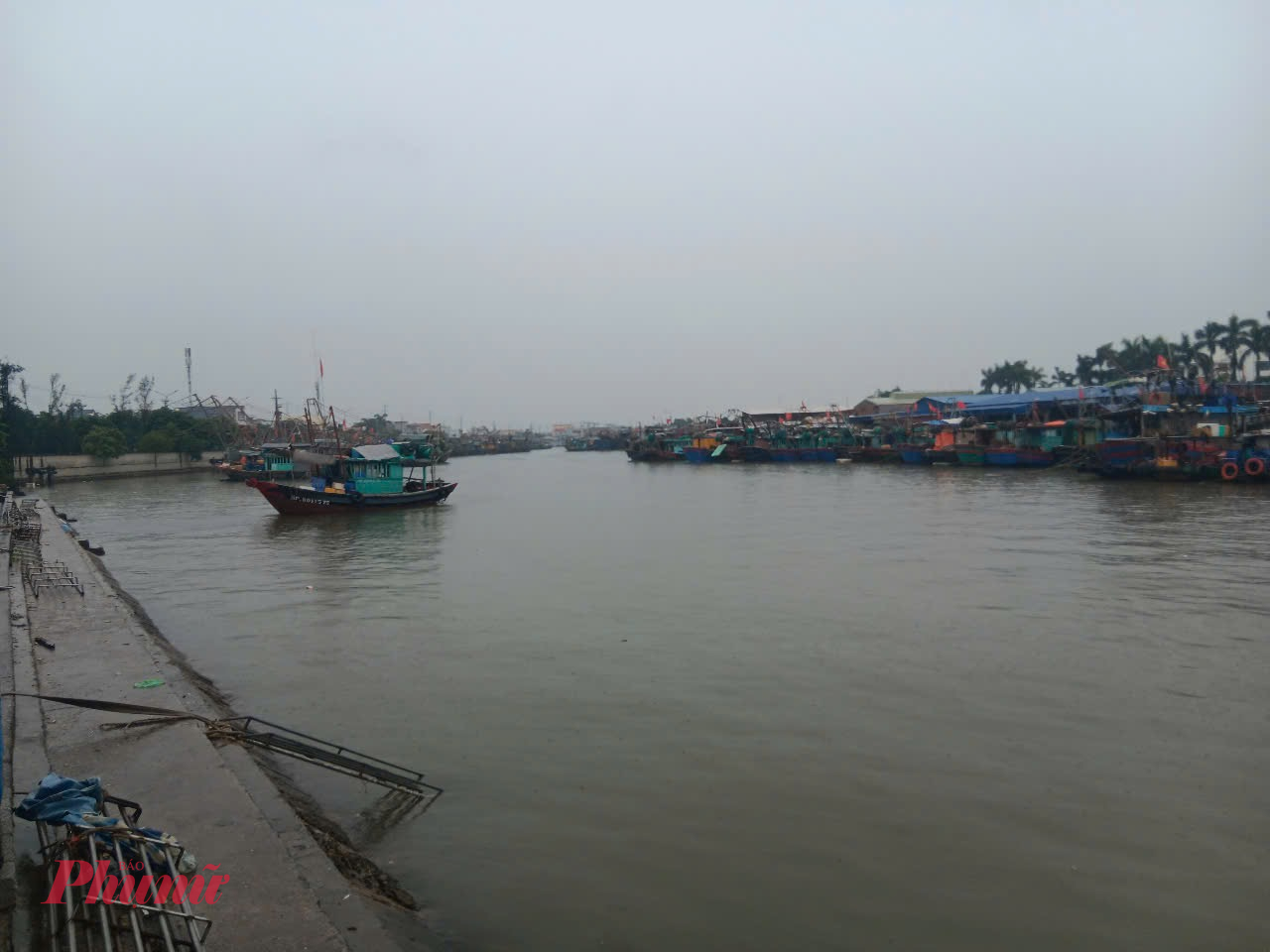 Tàu thuyền tại Hải Phòng đã neo đậu vào vị trí an toàn.