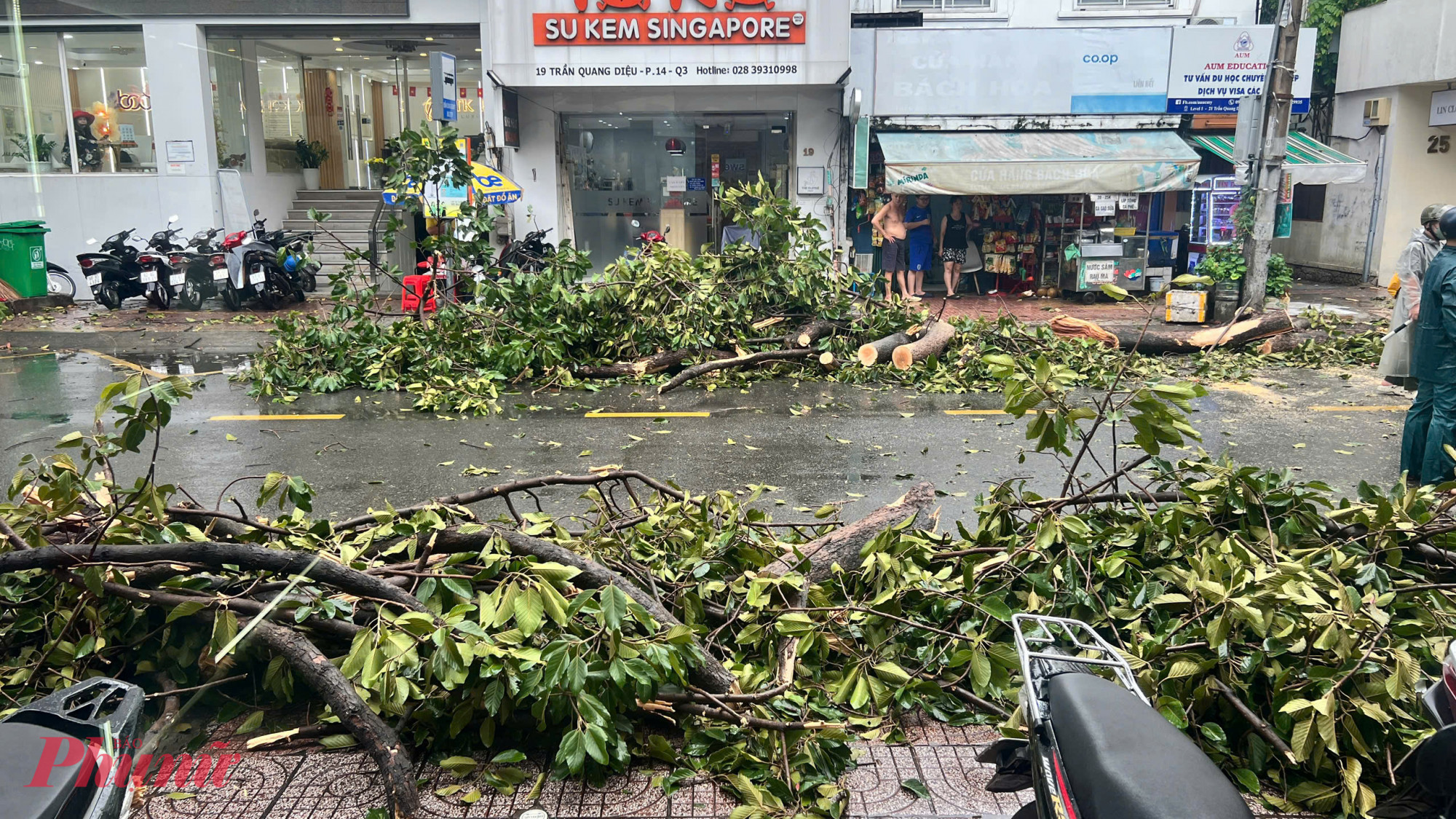 Trưa 20/7, mưa dông lớn xảy ra trên diện rộng ở TPHCM, cây xanh trên nhiều tuyến đường bị gãy nhánh, ngã đổ - Ảnh: Thanh Tâm