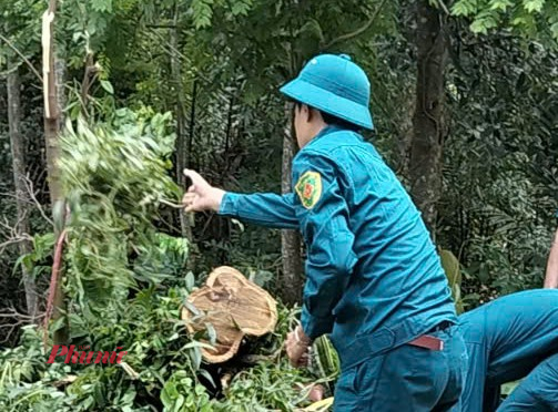 ực lượng quân sự phường phối hợp với các đơn vị liên quan nhanh chóng có mặt tại hiện trường, tổ chức thu dọn cây đổ,