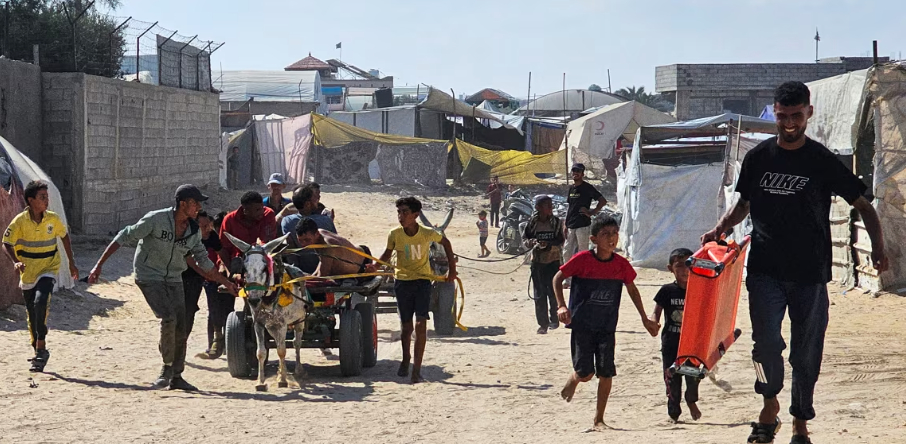 Nạn đói là do con người tạo ra và rõ ràng là do Israel phong tỏa lãnh thổ, ông nói.  Người đứng đầu WHO nhấn mạnh những người đói khát đang mạo hiểm mạng sống của họ để tiếp cận viện trợ như thế nào.  Văn phòng Nhân quyền Liên Hợp Quốc cho biết vào ngày 22 tháng 7 rằng các lực lượng Israel đã giết chết hơn 1.000 người Palestine đang cố gắng nhận viện trợ lương thực ở Gaza kể từ khi Quỹ Nhân đạo Gaza do Mỹ và Israel hậu thuẫn bắt đầu hoạt động vào cuối tháng 5.  Không chỉ 1.026 người bị giết khi cố gắng tự nuôi sống hoặc tìm thức ăn cho gia đình của họ. Hàng ngàn người cũng bị thương, bác sĩ Tedros nói.  Chúng tôi yêu cầu có đầy đủ quyền truy cập, và chúng tôi yêu cầu có một lệnh ngừng bắn, ông nói.  Chúng tôi yêu cầu có một giải pháp chính trị cho vấn đề này, một giải pháp lâu dài.