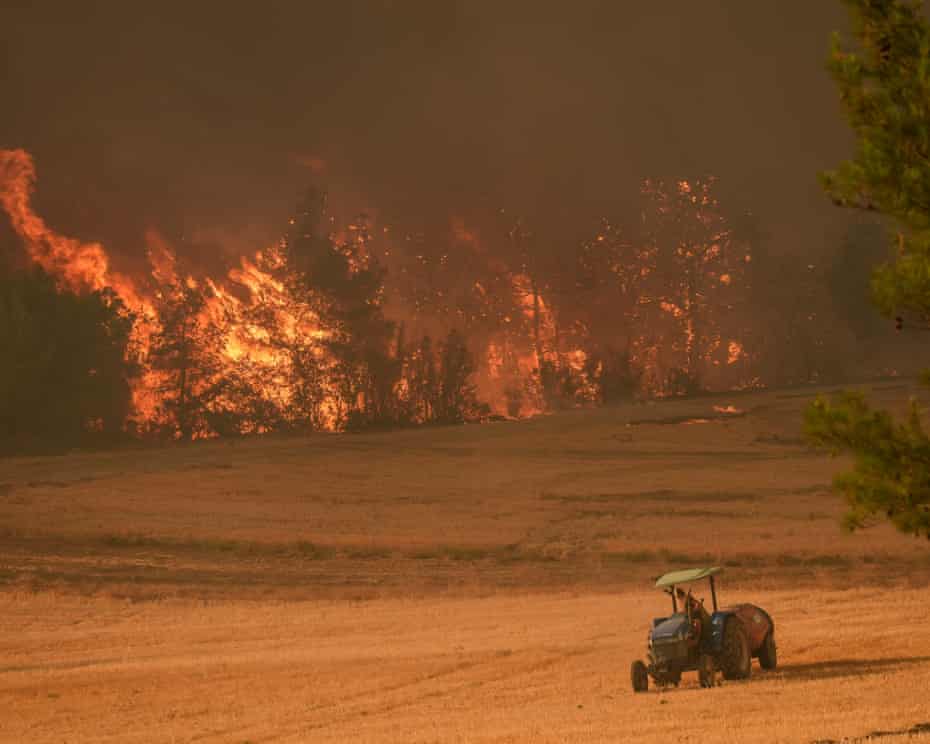 Cháy rừng hoành hành dữ dội tại Thổ Nhĩ Kỳ - Ảnh: Getty image
